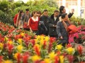 宏丰种植园举办迎春花卉精品展销会